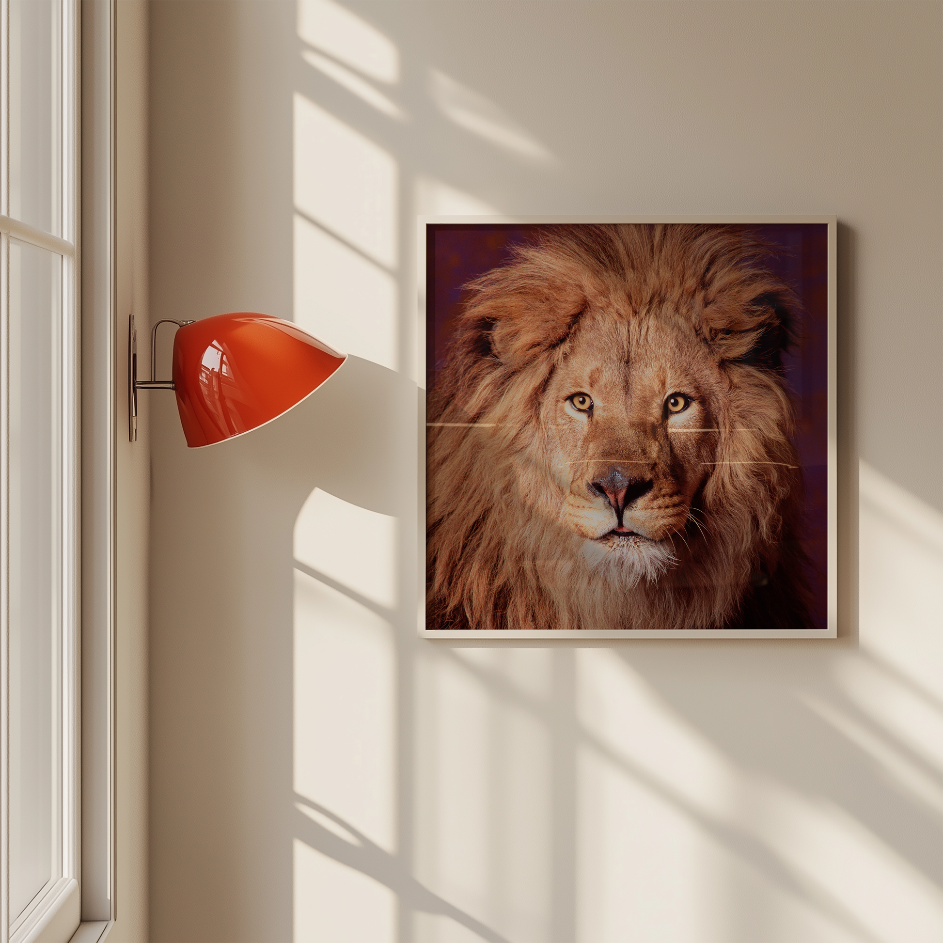 Lion | Fine Art Animal and Wildlife Photography Prints by Steve Grubman