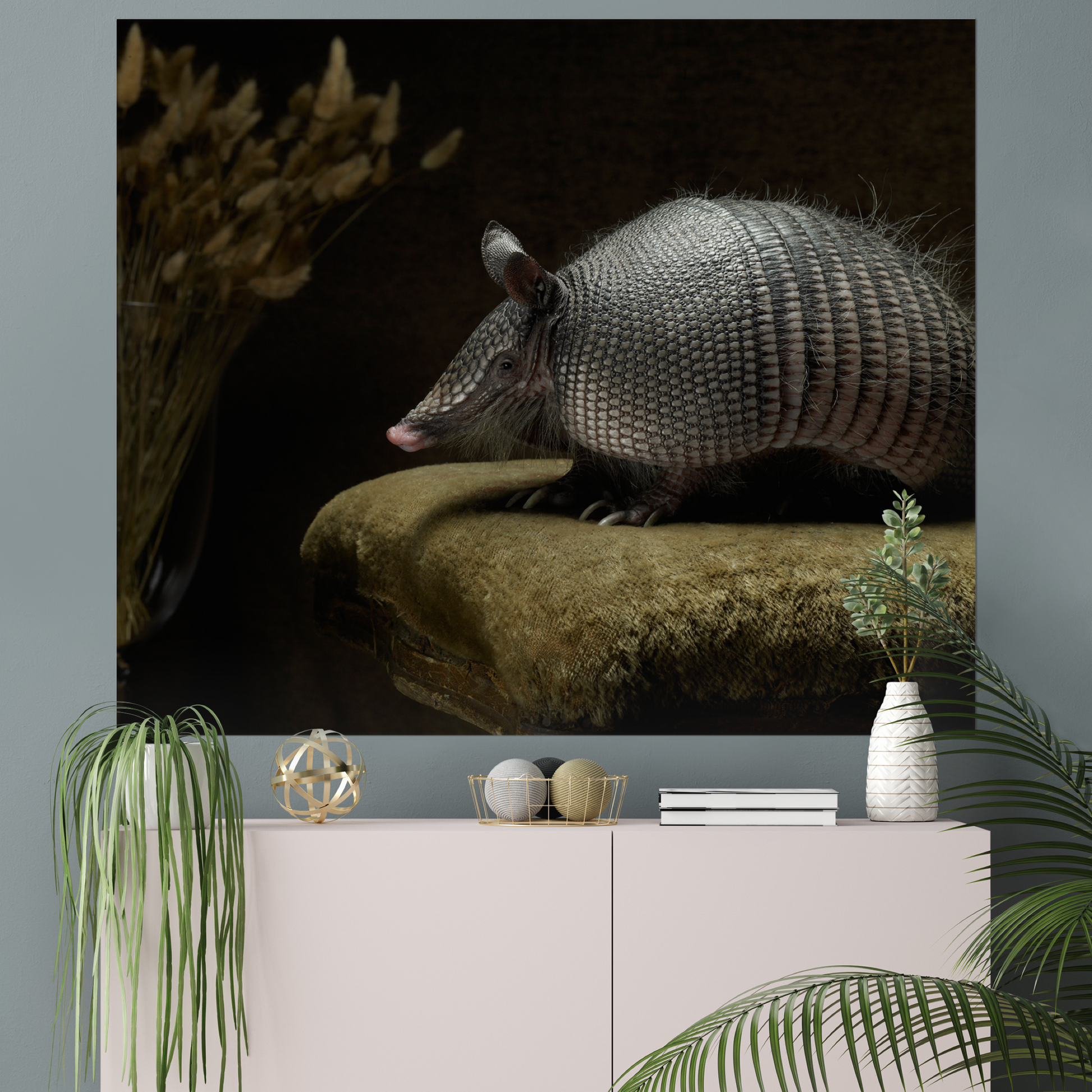 Armadillo on Velvet | Fine Art Animal and Wildlife Photography Prints by Steve Grubman
