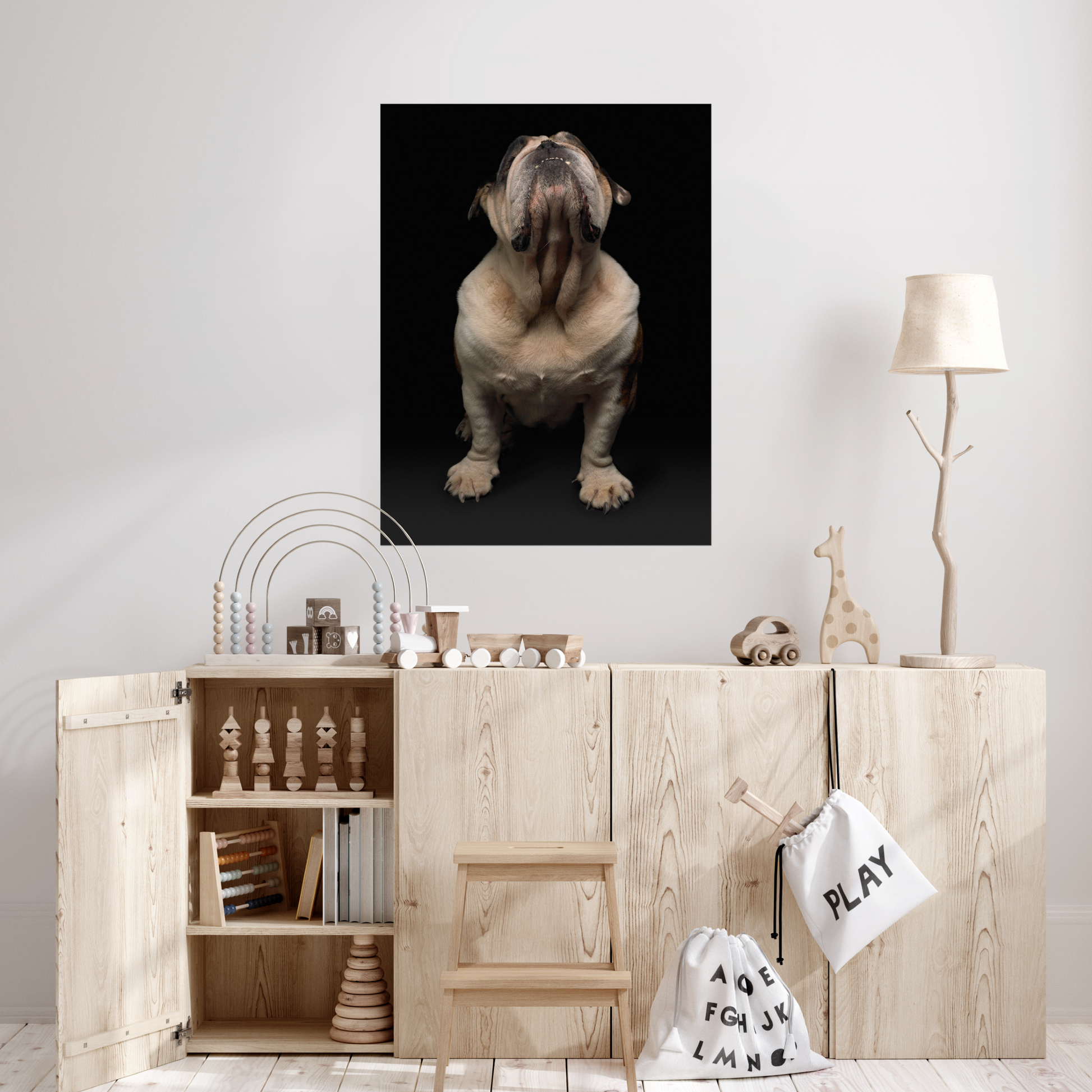 Champion Bulldog on Black | Fine Art Animal and Wildlife Photography Prints by Steve Grubman
