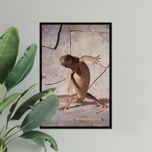 Dancing Lizard | Fine Art Animal and Wildlife Photography Prints by Steve Grubman