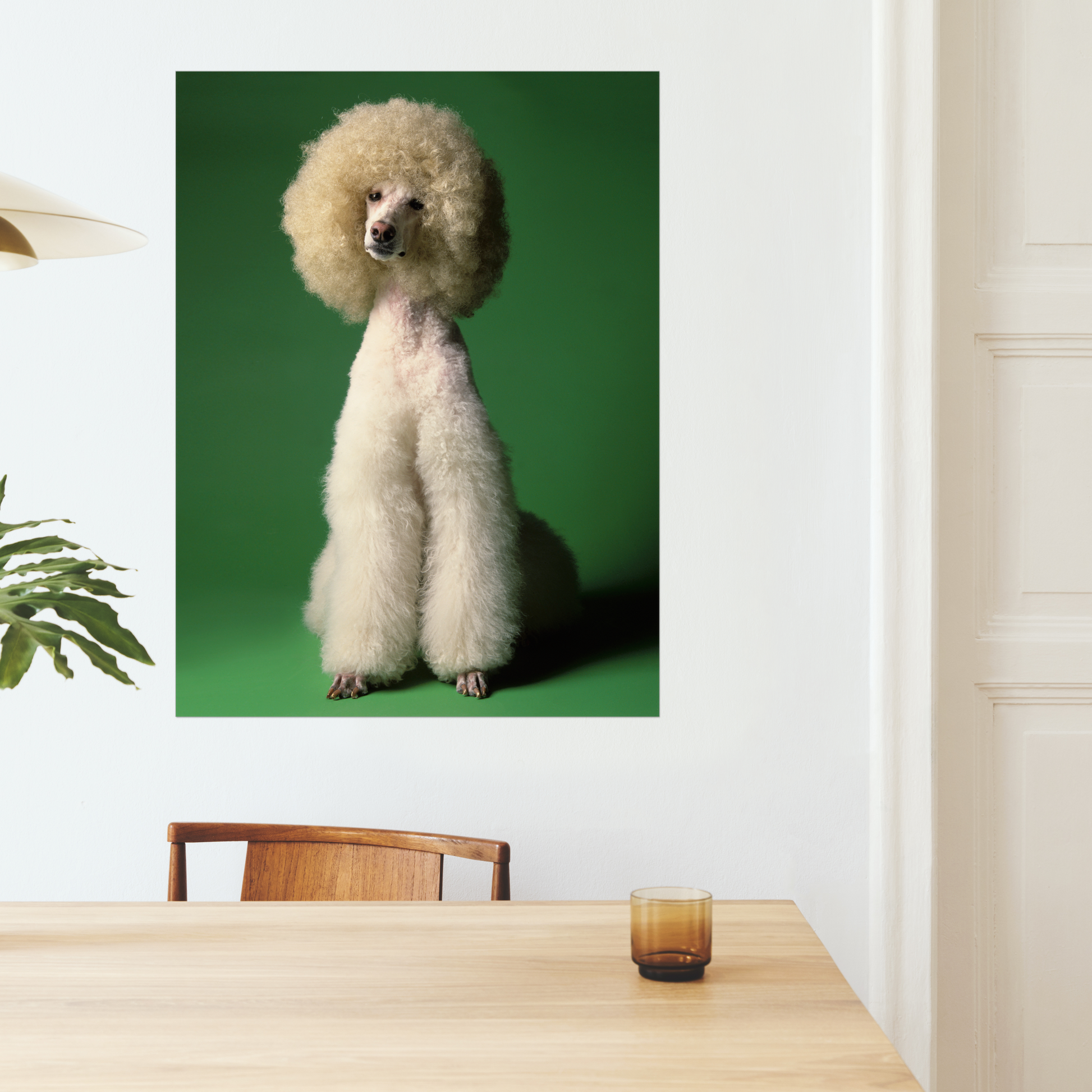 Elegant Poodle Dog on Verdant Green | Fine Art Animal and Wildlife Photography Prints by Steve Grubman