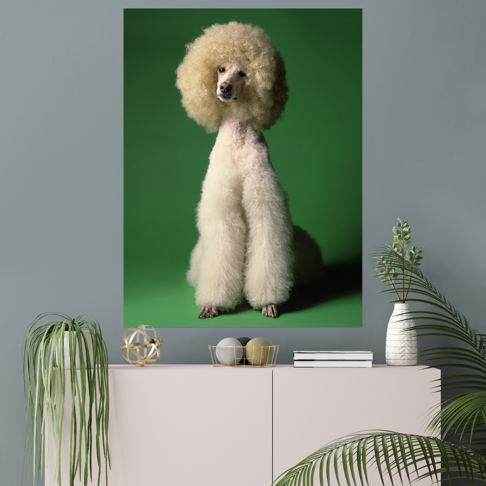 Elegant Poodle Dog on Verdant Green | Fine Art Animal and Wildlife Photography Prints by Steve Grubman