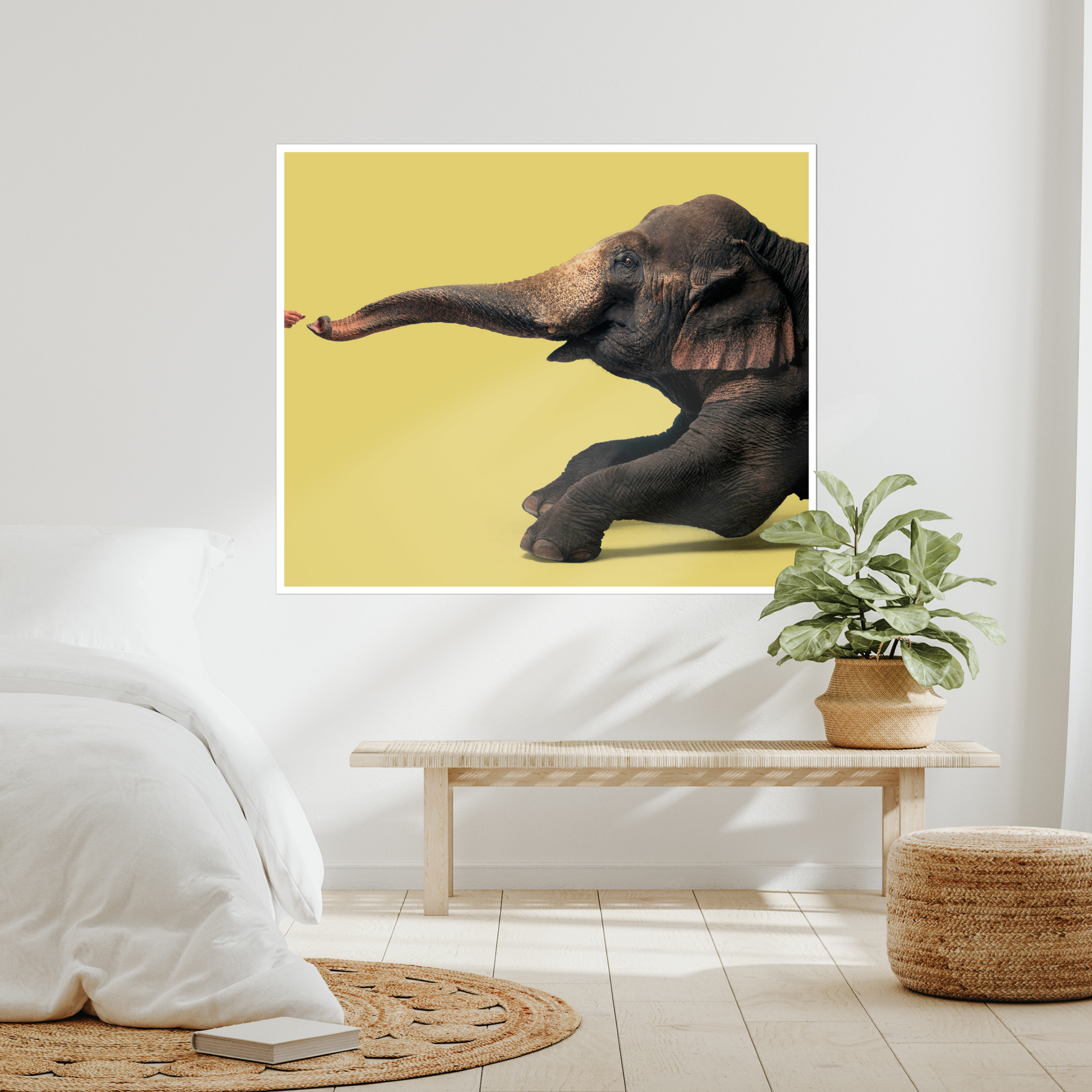 Elephant Makes a Connection | Fine Art Animal and Wildlife Photography Prints by Steve Grubman