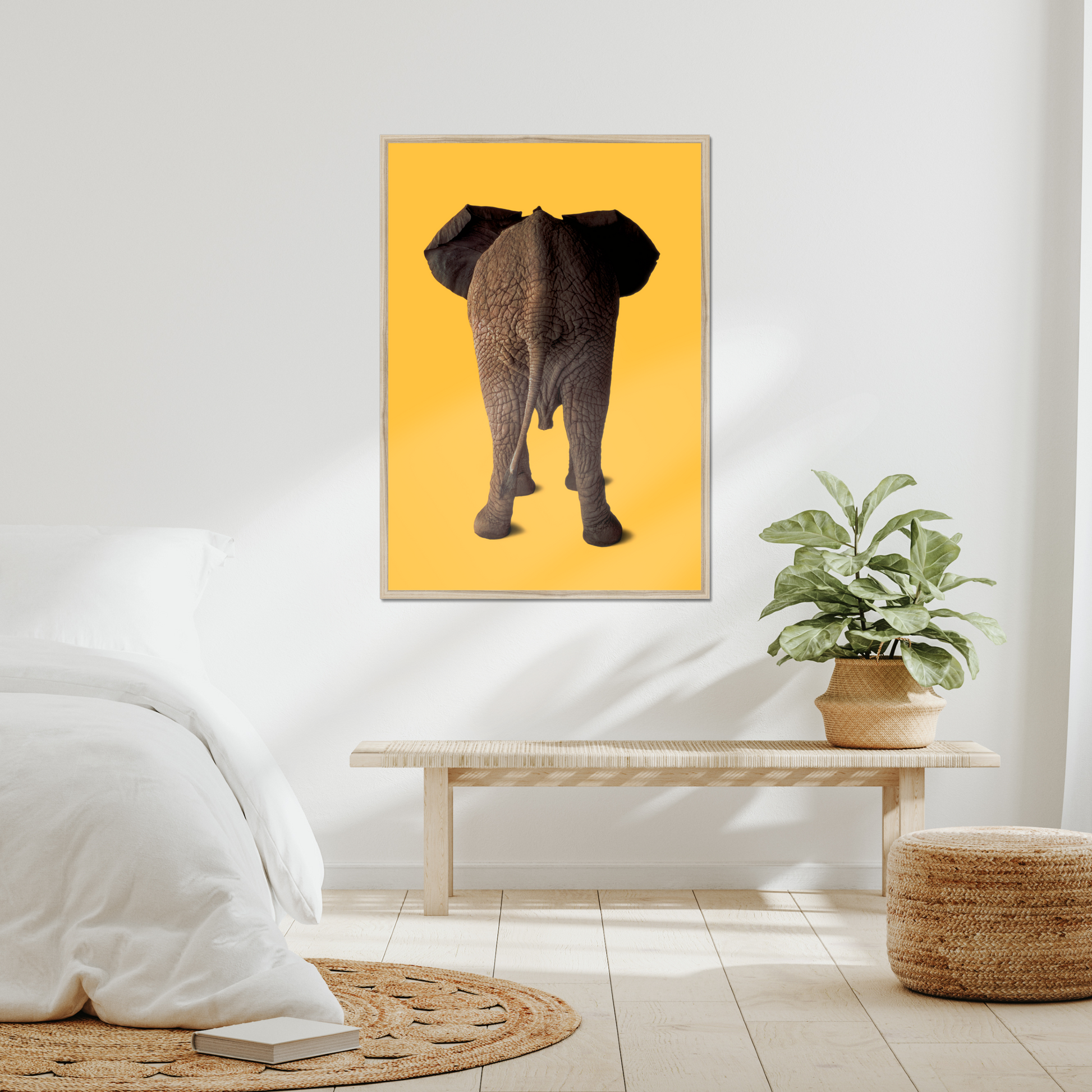 Elephant in the Studio! on Mango | Fine Art Animal and Wildlife Photography Prints by Steve Grubman