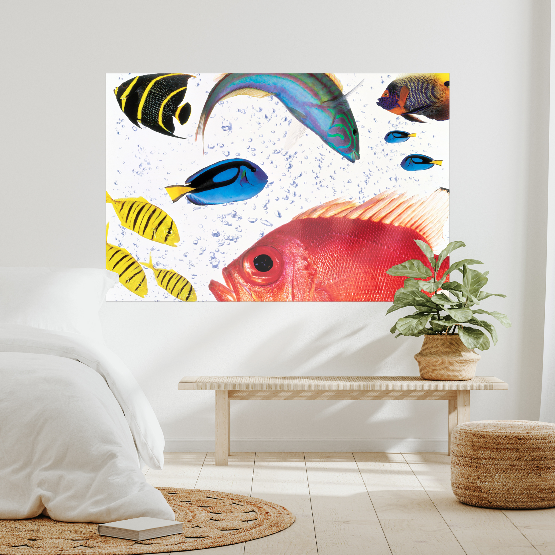 Fish Carnival | Fine Art Animal and Wildlife Photography Prints by Steve Grubman