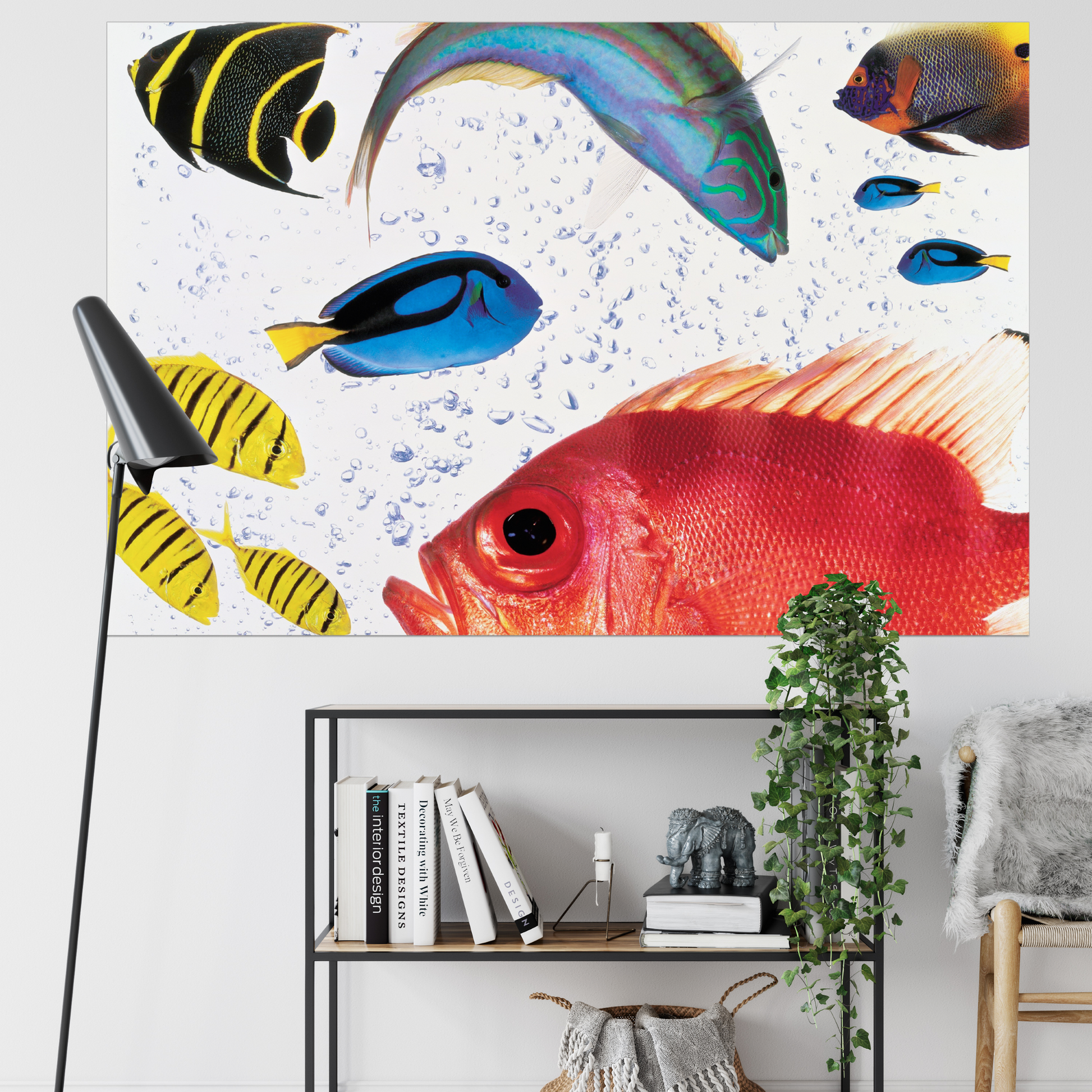 Fish Carnival | Fine Art Animal and Wildlife Photography Prints by Steve Grubman