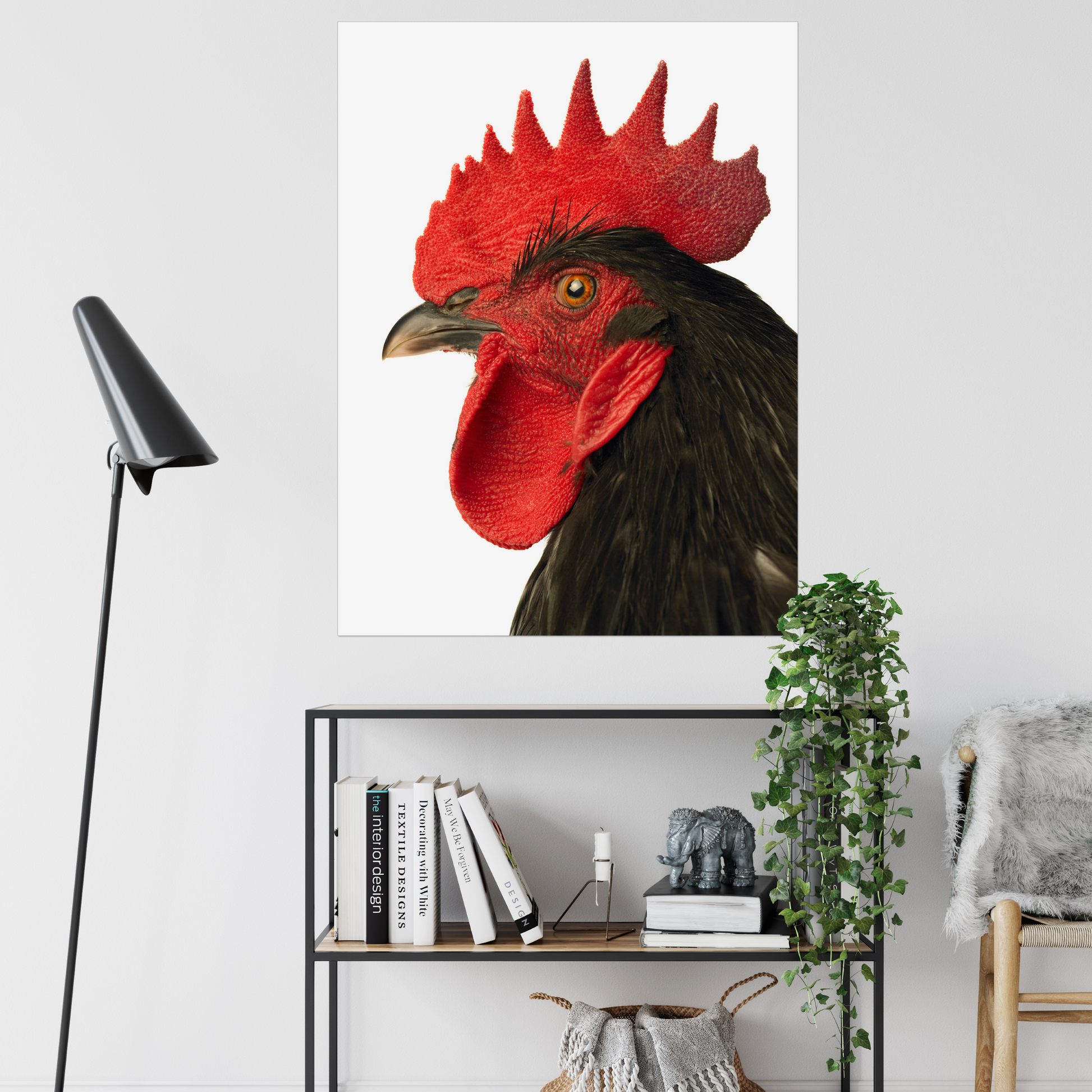 Glorious Rooster on White | Fine Art Animal and Wildlife Photography Prints by Steve Grubman