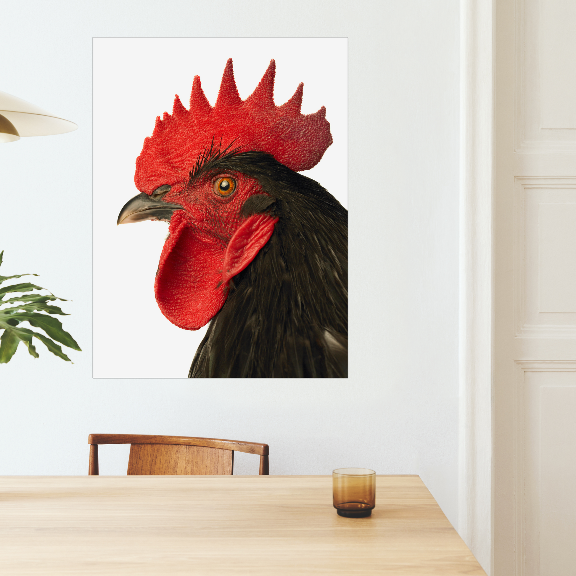 Glorious Rooster on White | Fine Art Animal and Wildlife Photography Prints by Steve Grubman