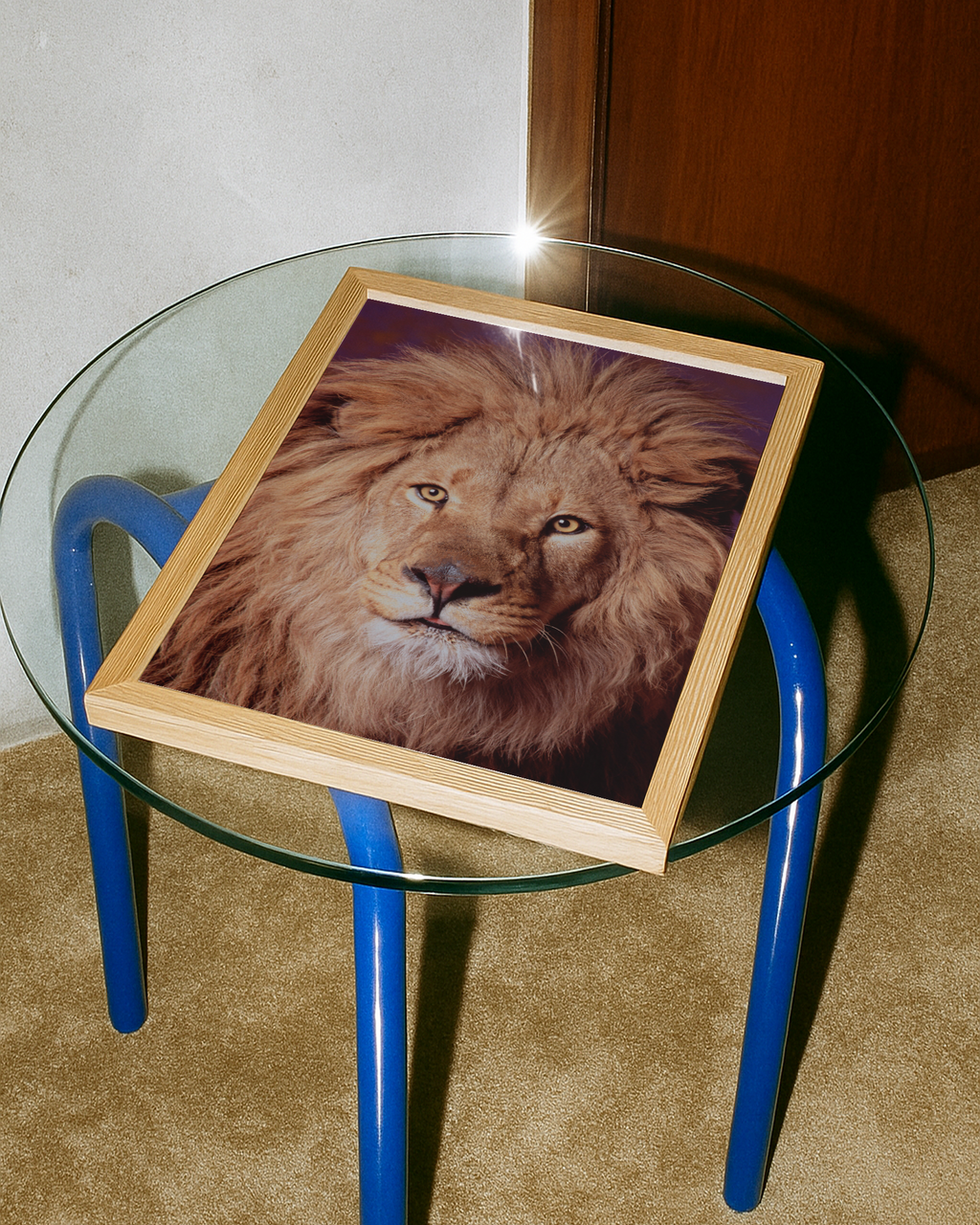 Lion | Fine Art Animal and Wildlife Photography Prints by Steve Grubman