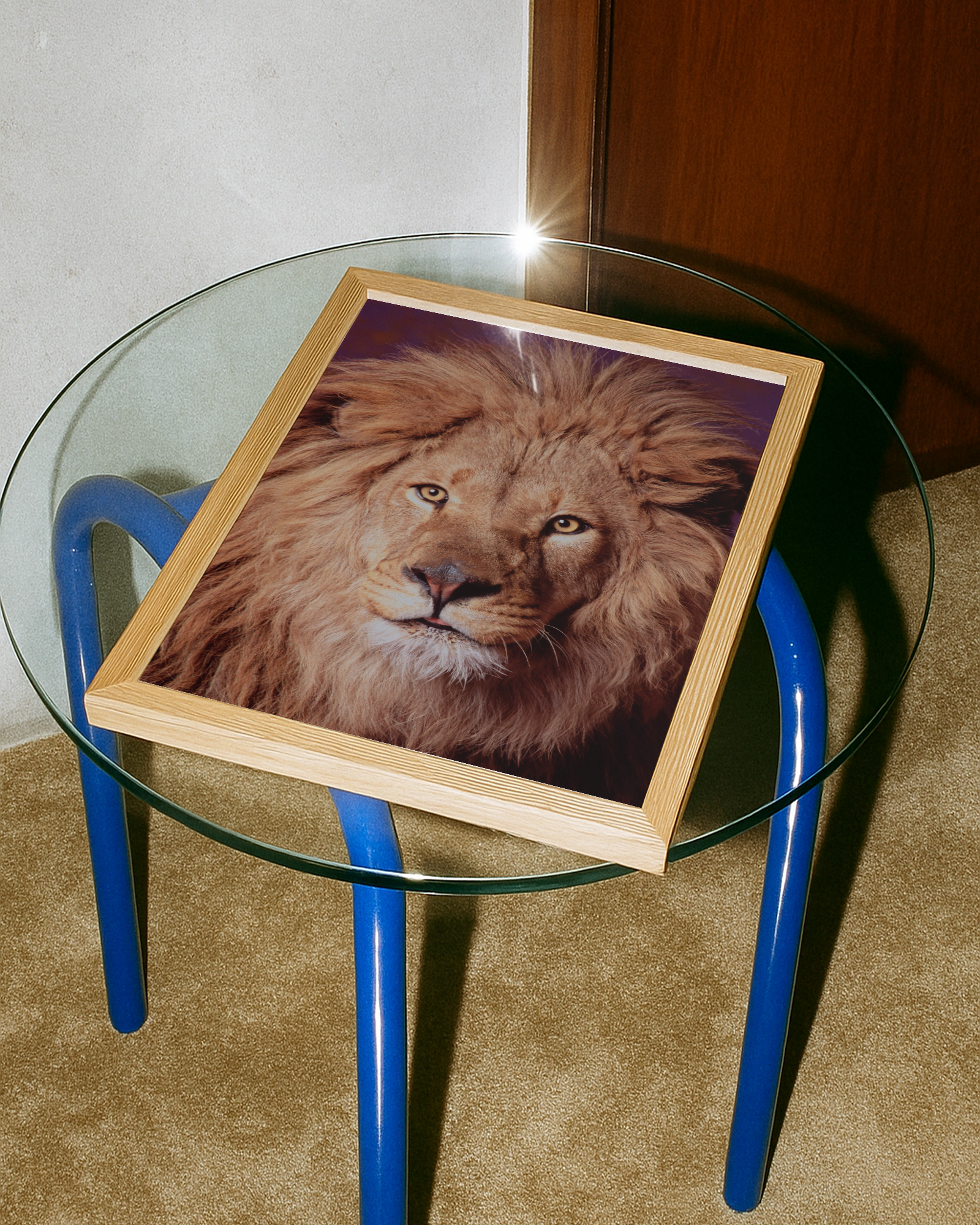 Lion | Fine Art Animal and Wildlife Photography Prints by Steve Grubman