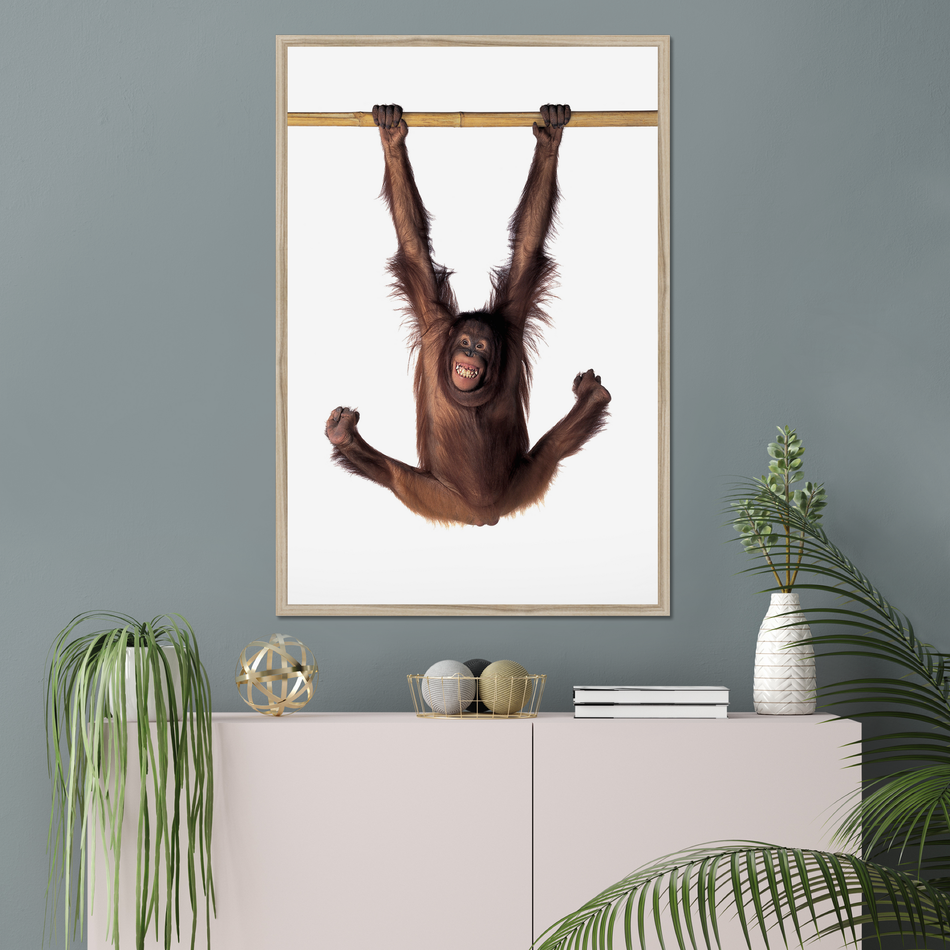 Hanging Monkey | Fine Art Animal and Wildlife Photography Prints by Steve Grubman