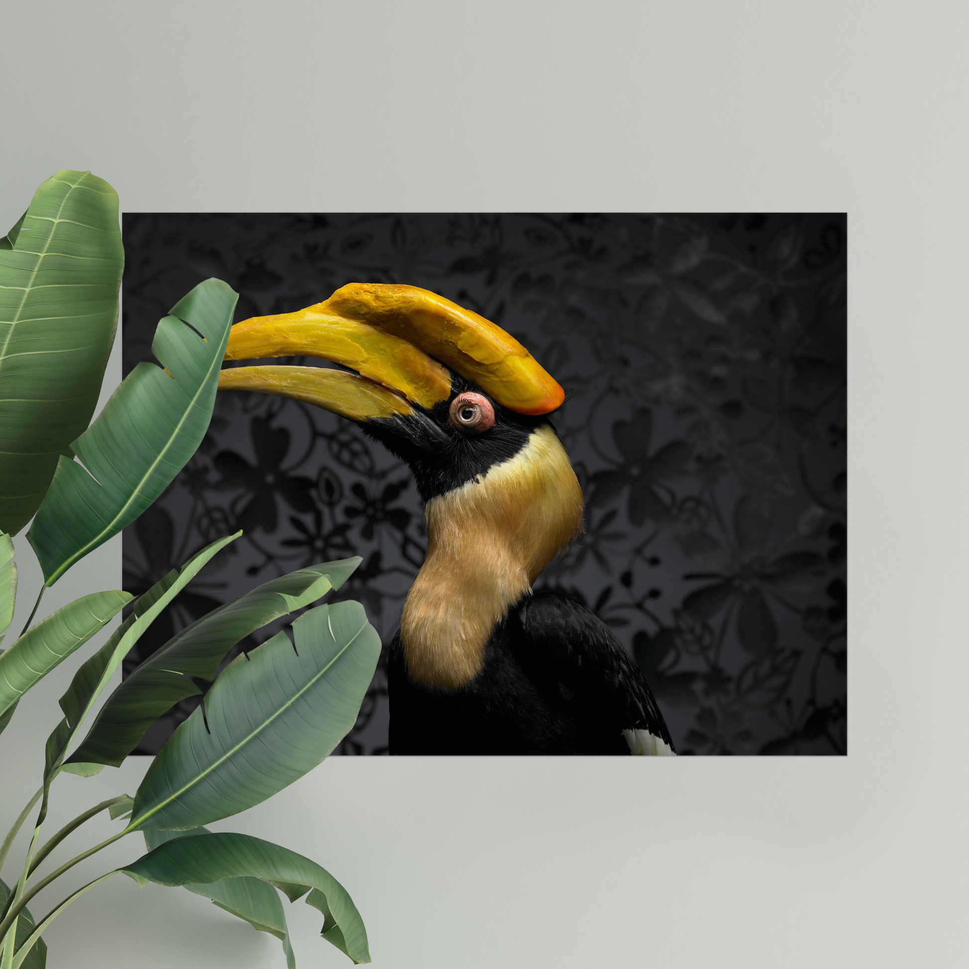 Hornbill | Fine Art Animal and Wildlife Photography Prints by Steve Grubman