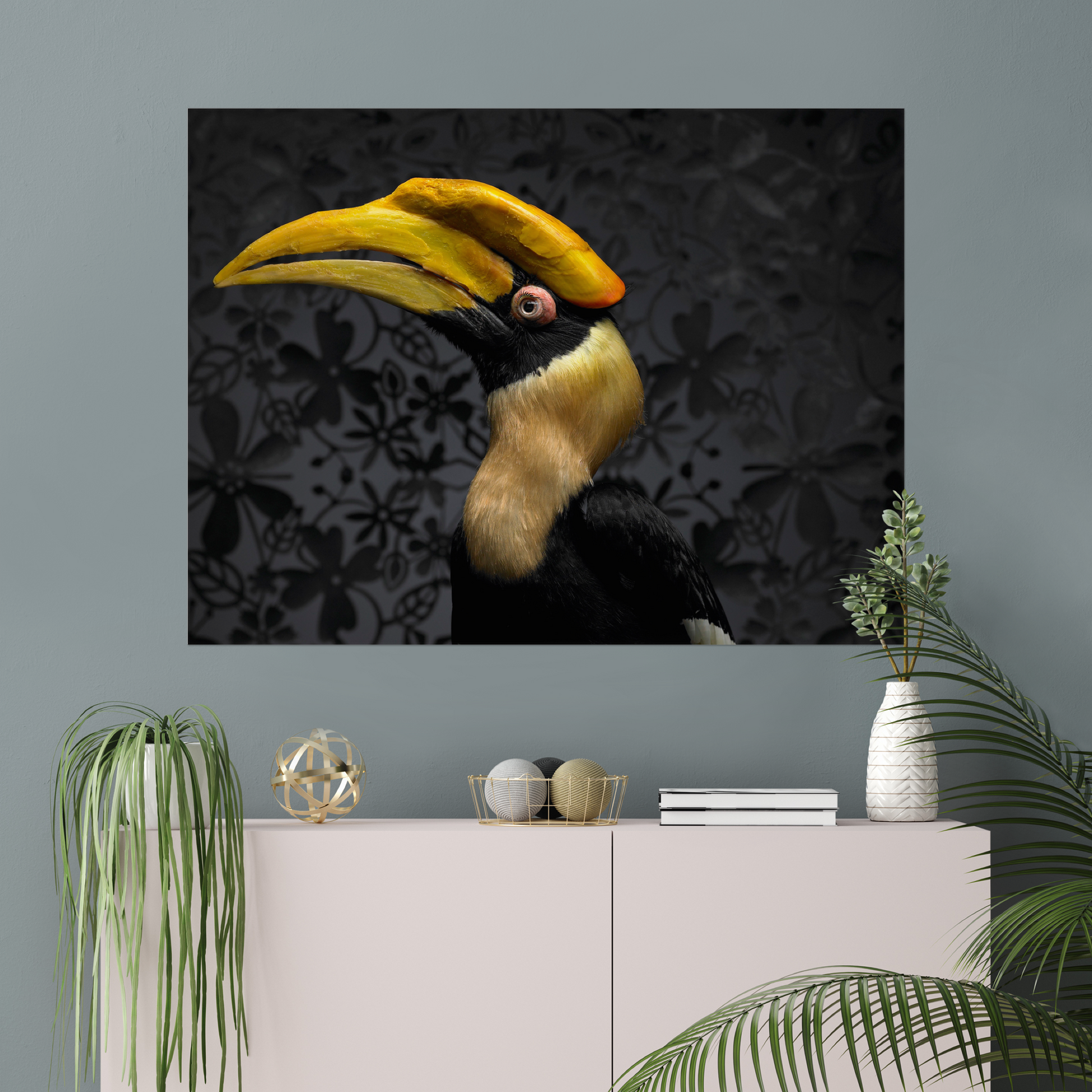 Hornbill | Fine Art Animal and Wildlife Photography Prints by Steve Grubman