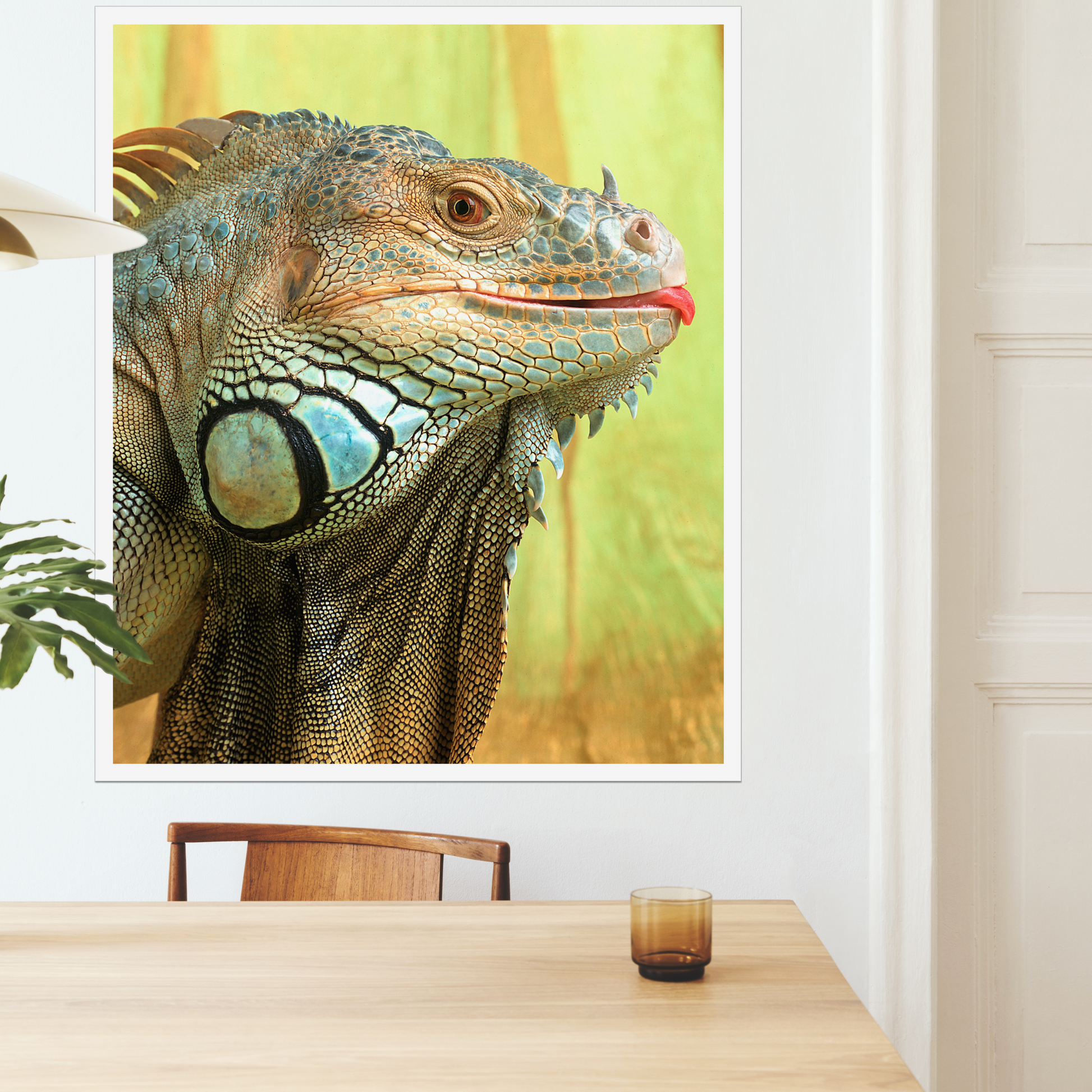 Iggy the Iguana | Fine Art Animal and Wildlife Photography Prints by Steve Grubman