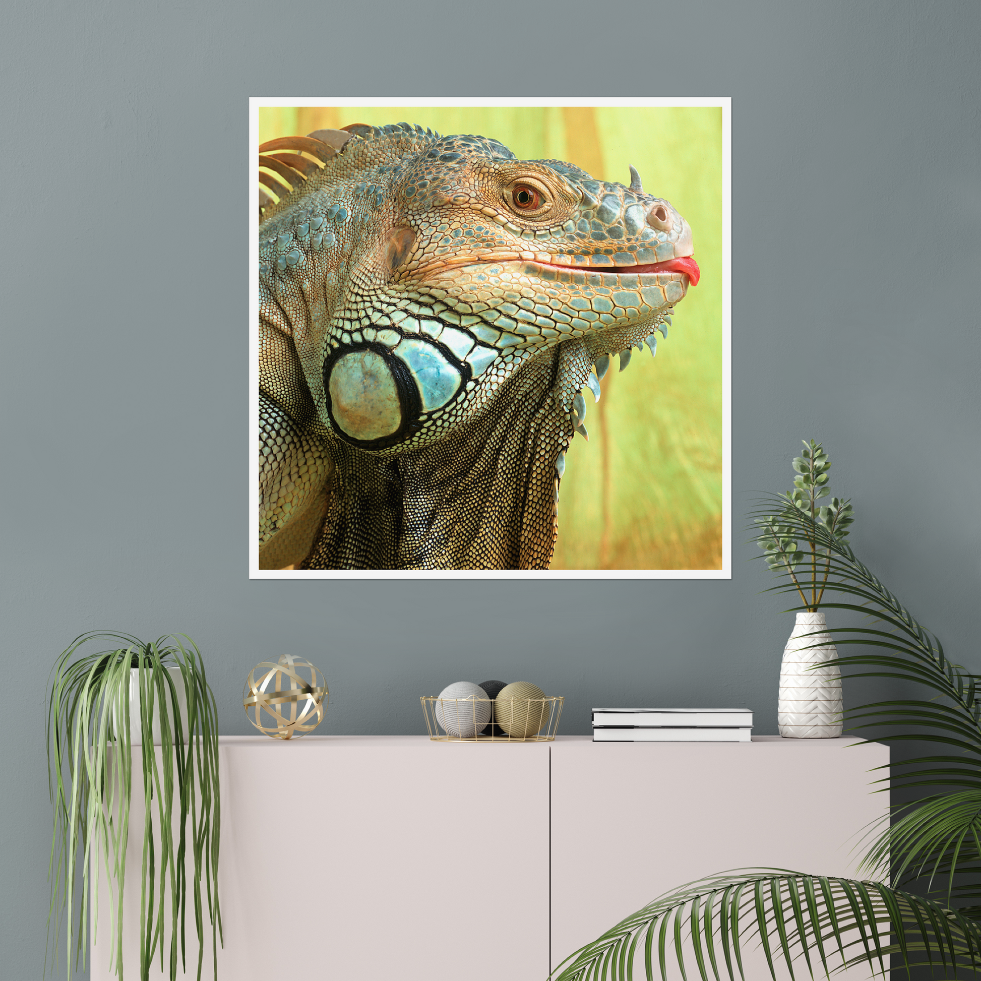 Iggy the Iguana | Fine Art Animal and Wildlife Photography Prints by Steve Grubman