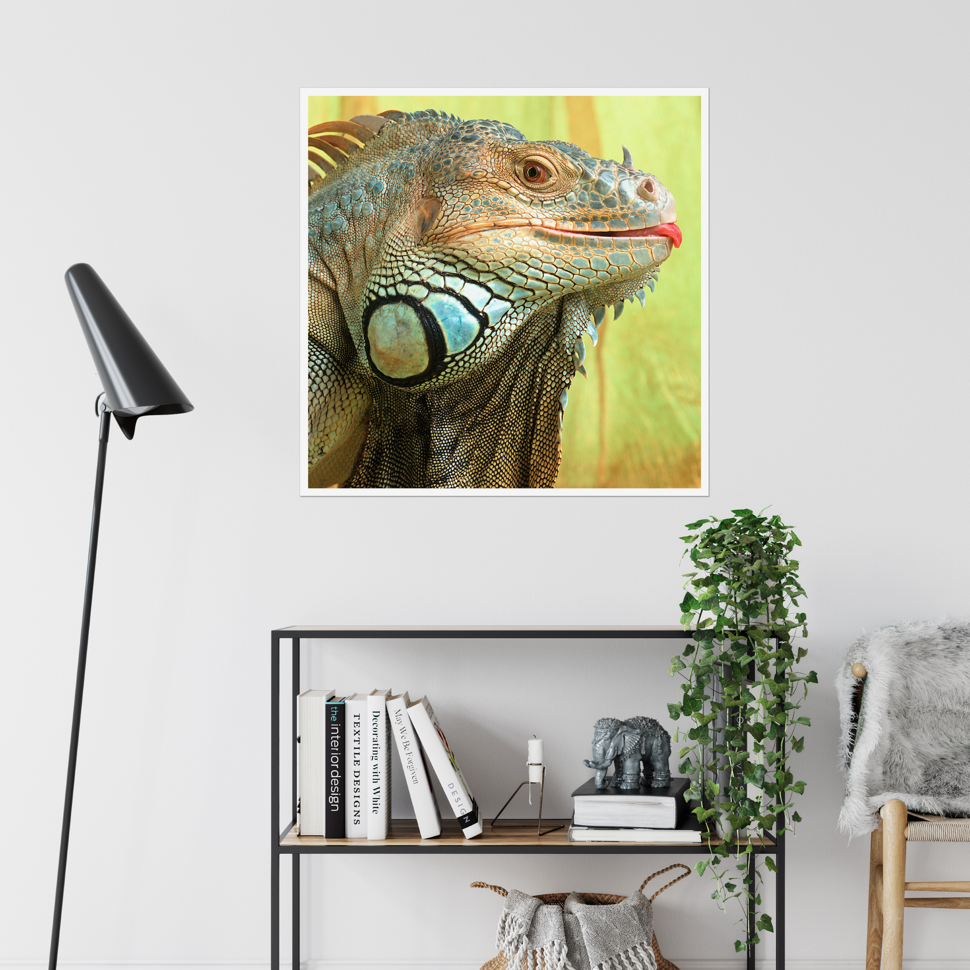 Iggy the Iguana | Fine Art Animal and Wildlife Photography Prints by Steve Grubman