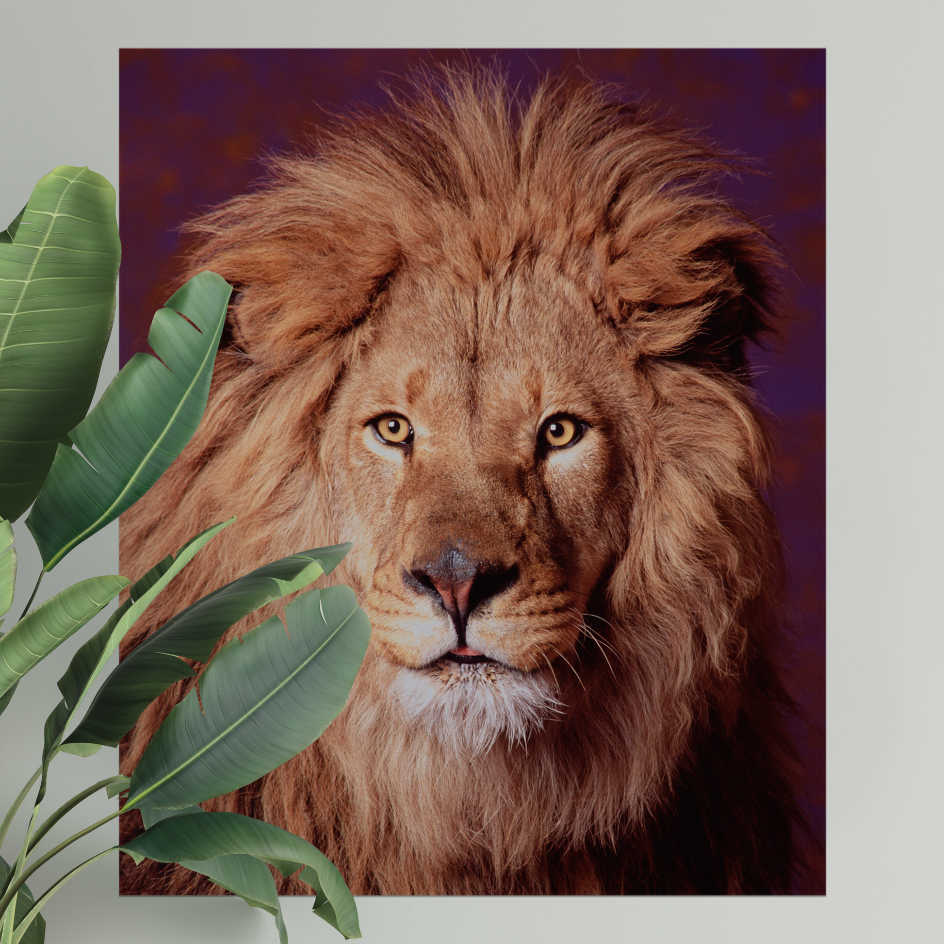Majestic Lion Portrait | Fine Art Animal and Wildlife Photography Prints by Steve Grubman