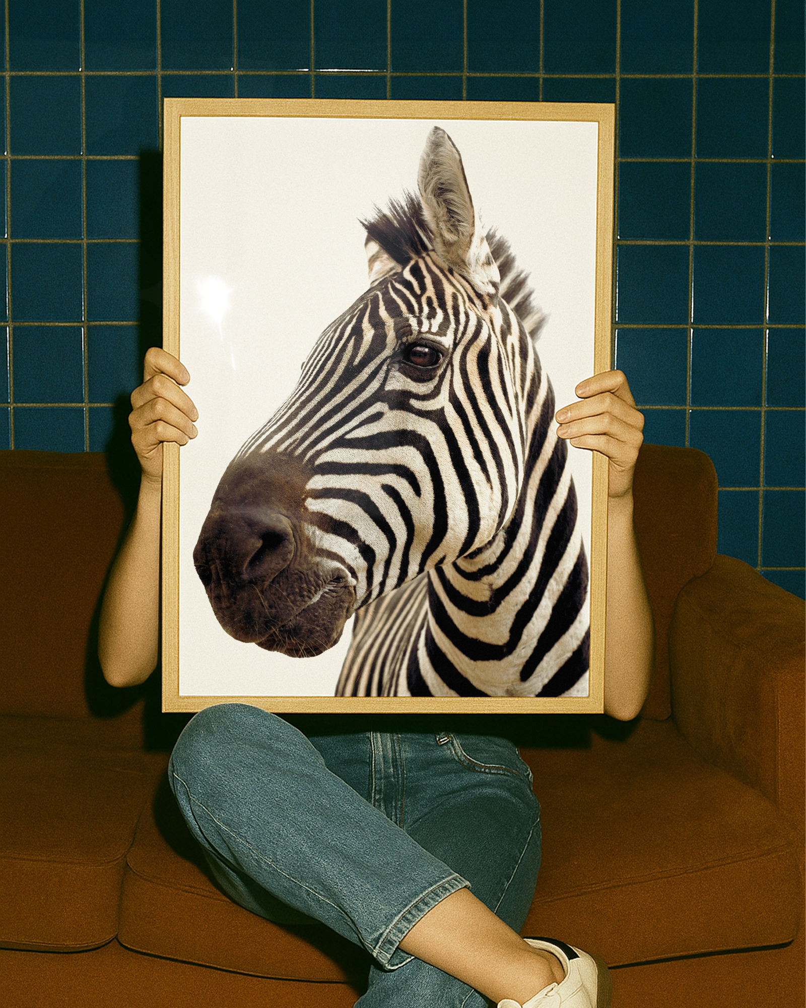 Zebra | Fine Art Animal and Wildlife Photography Prints by Steve Grubman