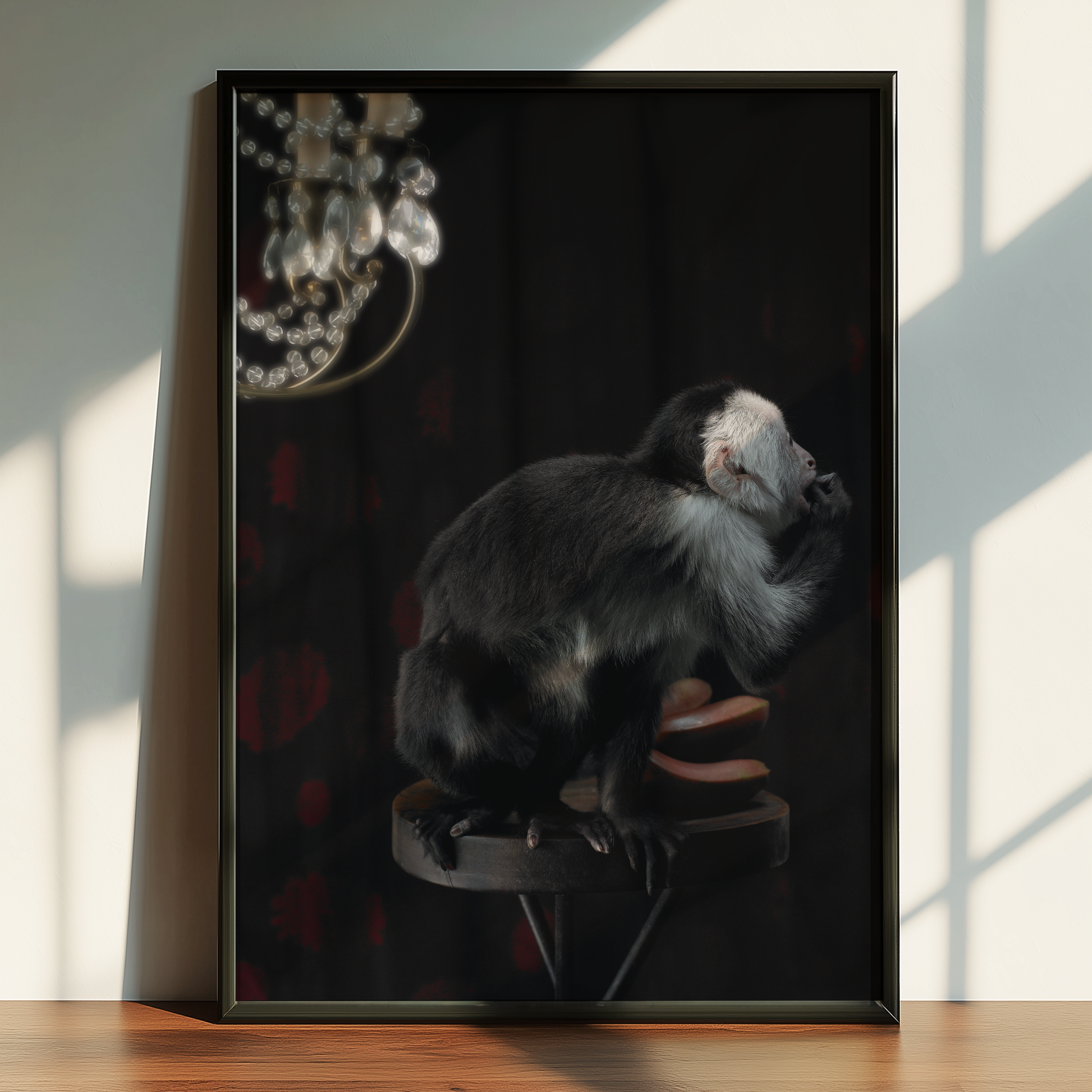 Ringtail Monkey | Fine Art Animal and Wildlife Photography Prints by Steve Grubman