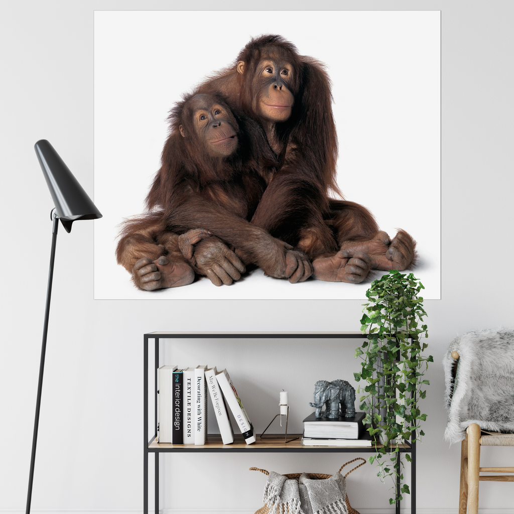 Monkey Mom | Fine Art Animal and Wildlife Photography Prints by Steve Grubman