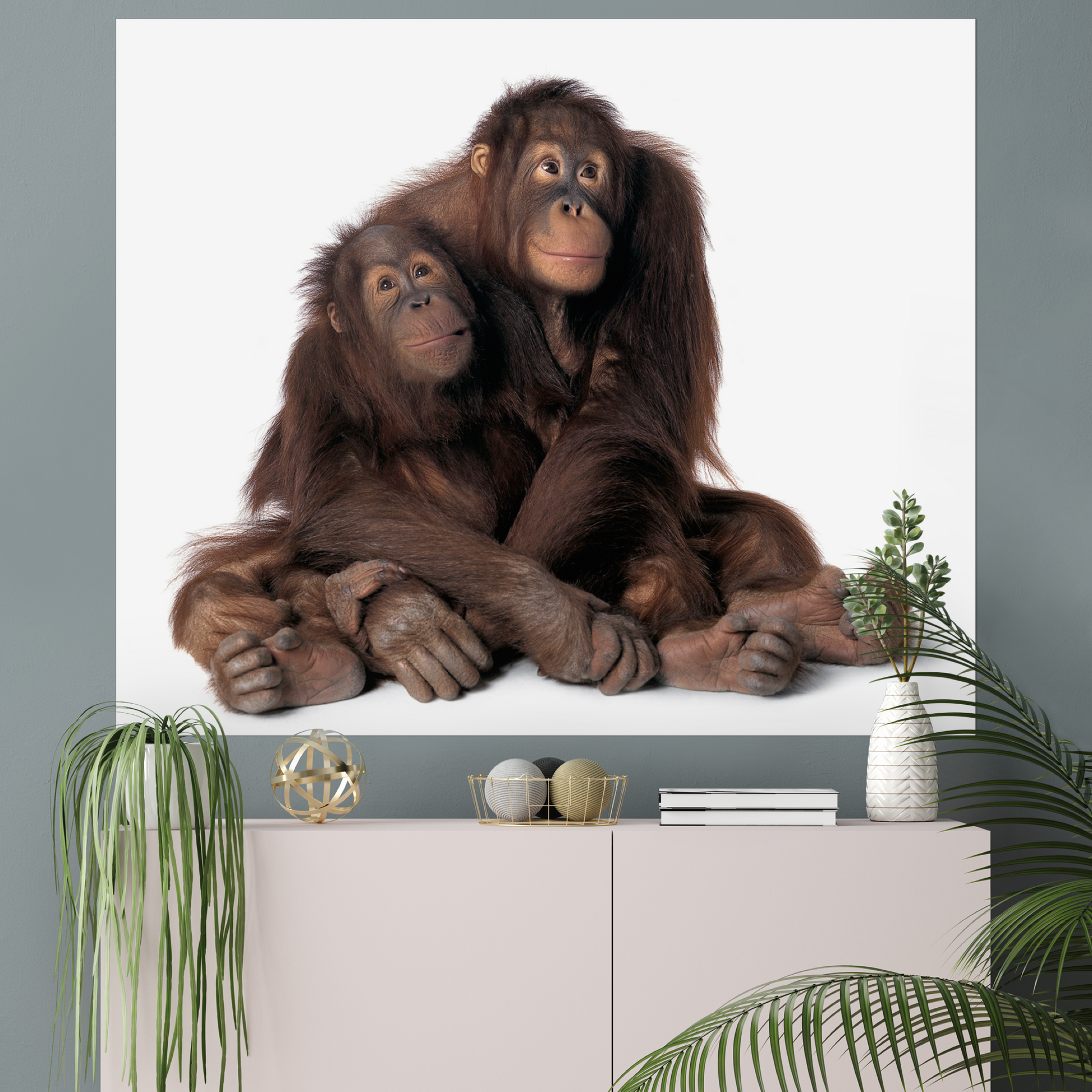 Monkey Mom | Fine Art Animal and Wildlife Photography Prints by Steve Grubman