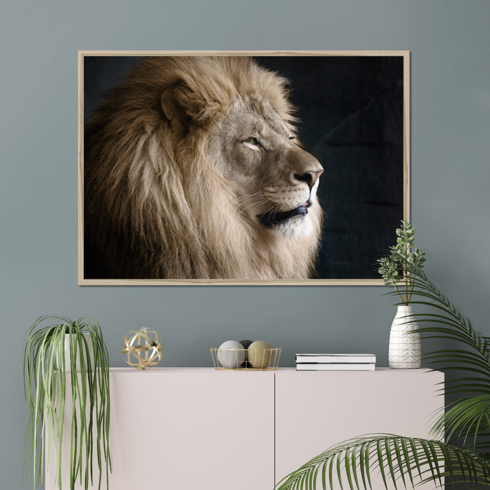 Regal Lion | Fine Art Animal and Wildlife Photography Prints by Steve Grubman