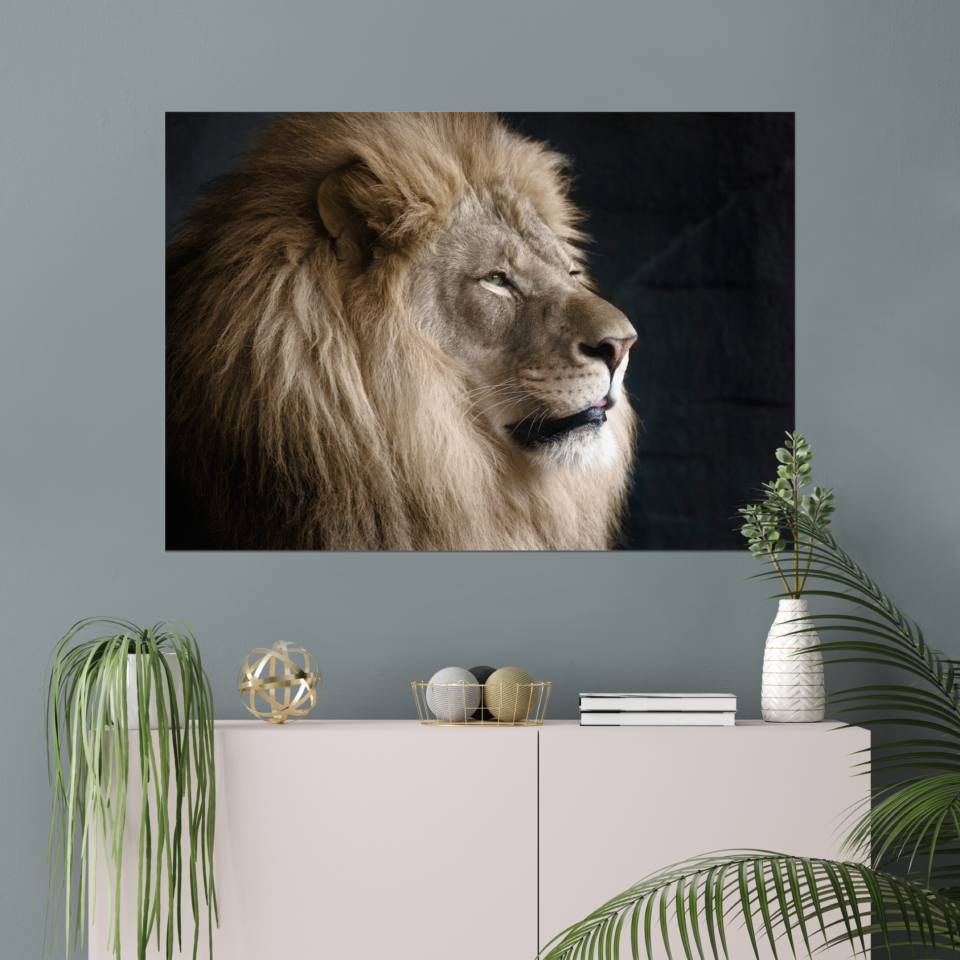 Regal Lion | Fine Art Animal and Wildlife Photography Prints by Steve Grubman