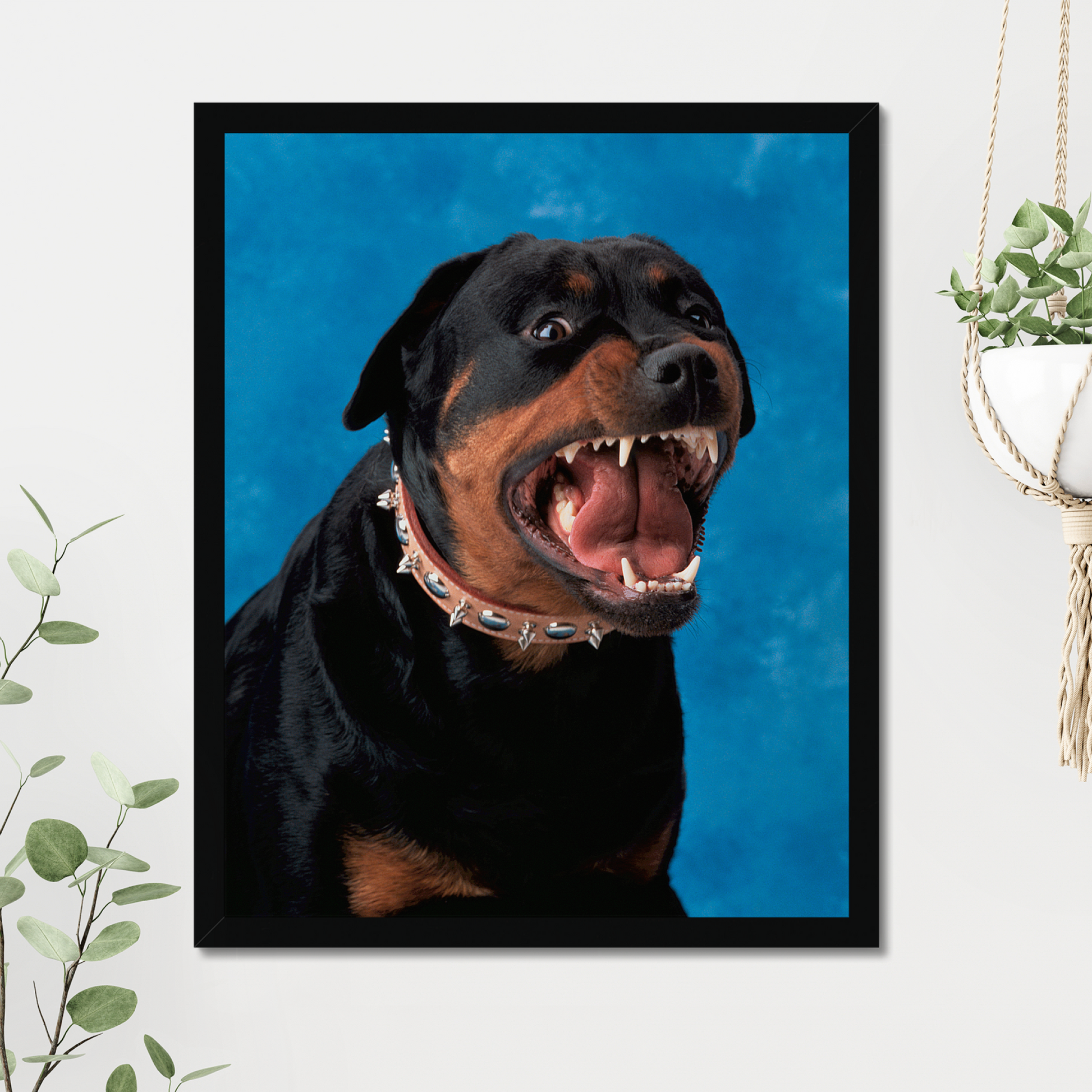 Rottweiler 90s Yearbook Photo  | Fine Art Animal and Wildlife Photography Prints by Steve Grubman