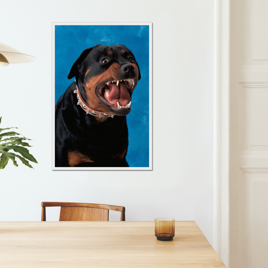 Rottweiler 90s Yearbook Photo  | Fine Art Animal and Wildlife Photography Prints by Steve Grubman