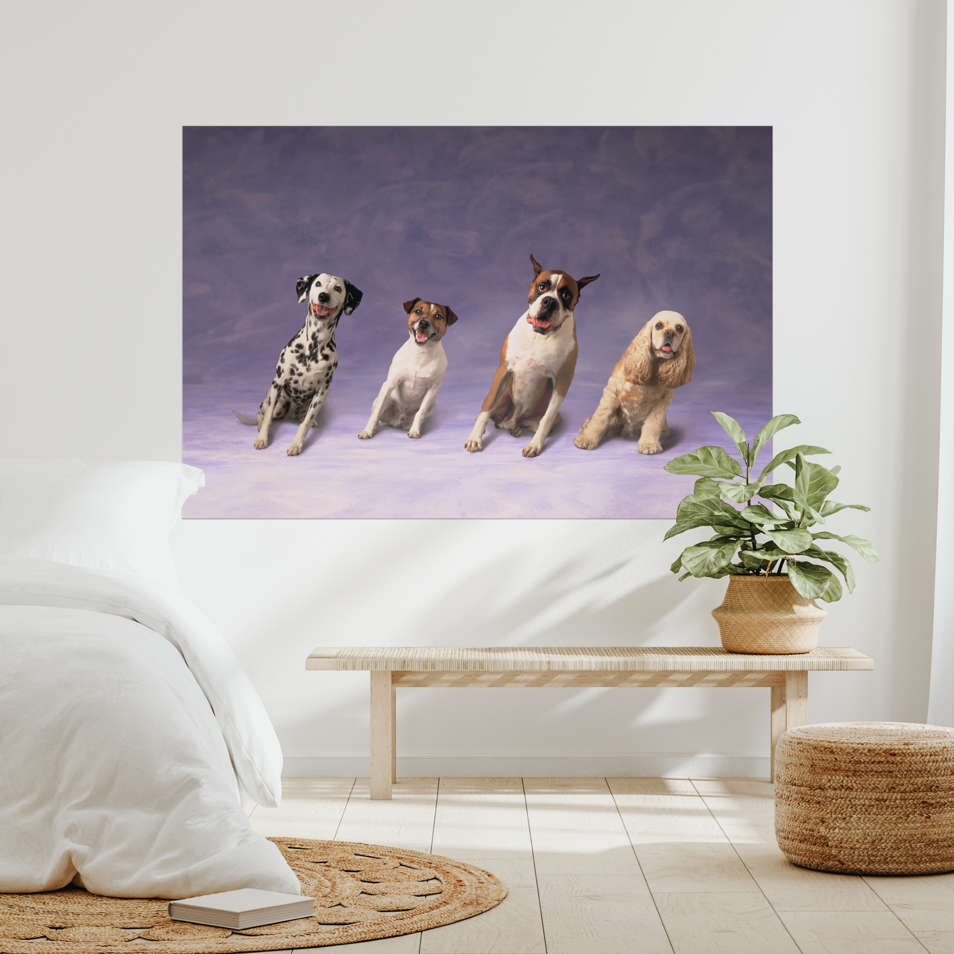 Sideways Dogs | Fine Art Animal and Wildlife Photography Prints by Steve Grubman
