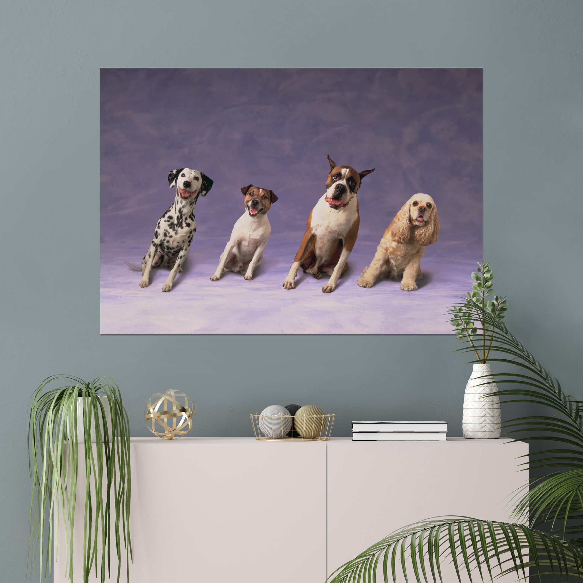 Sideways Dogs | Fine Art Animal and Wildlife Photography Prints by Steve Grubman