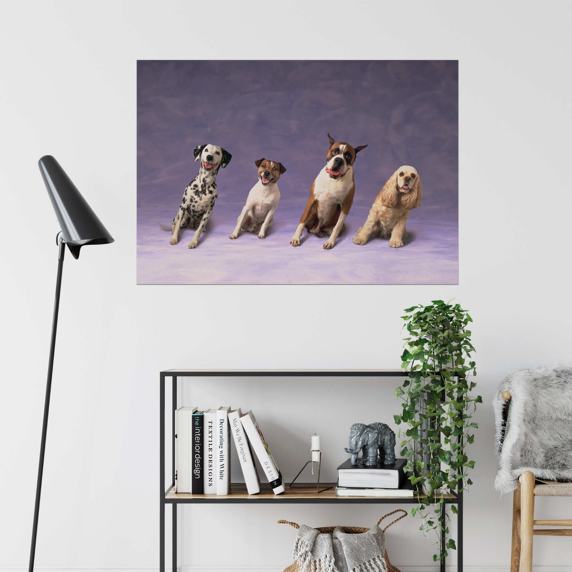 Sideways Dogs | Fine Art Animal and Wildlife Photography Prints by Steve Grubman