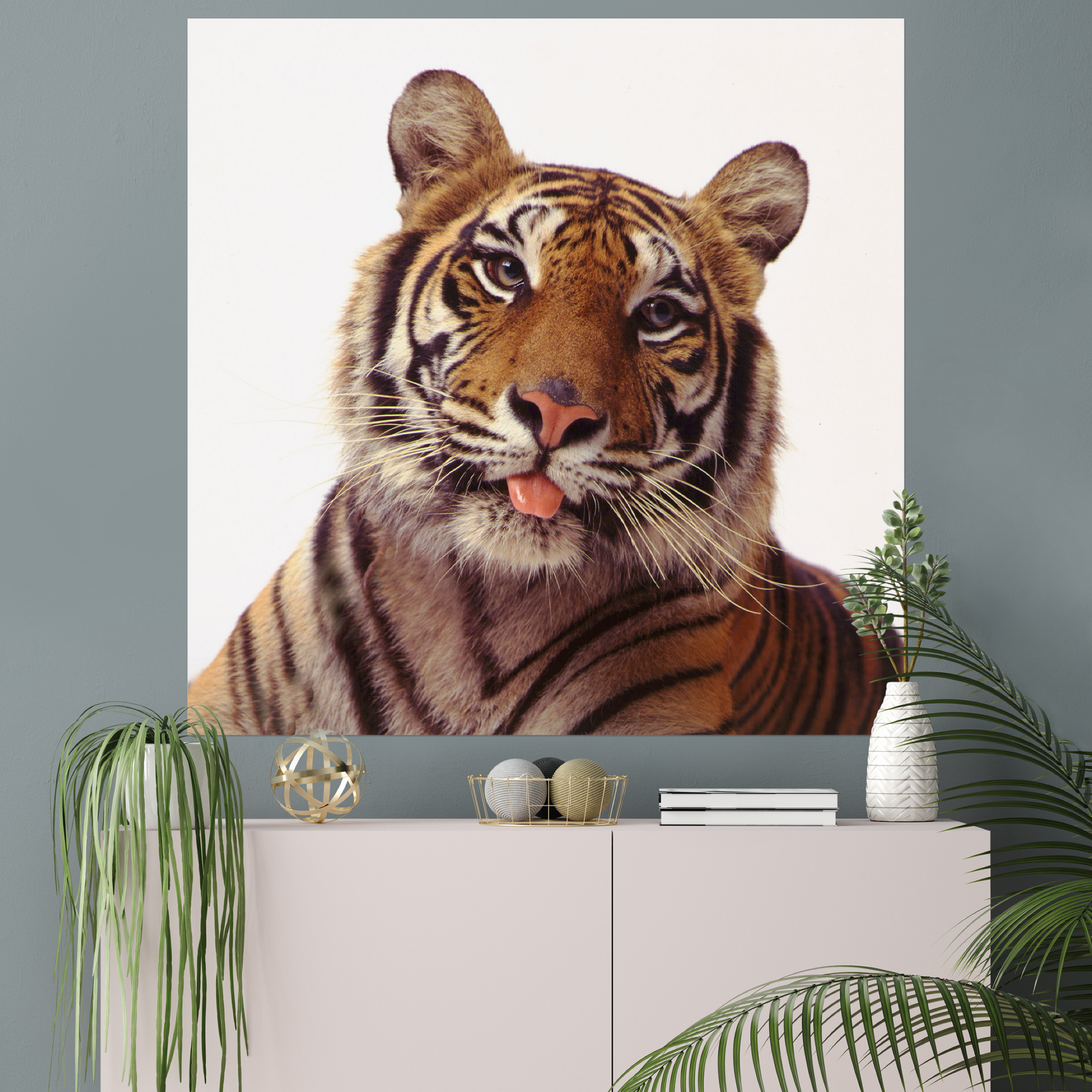 Smiling Tiger | Fine Art Animal and Wildlife Photography Prints by Steve Grubman