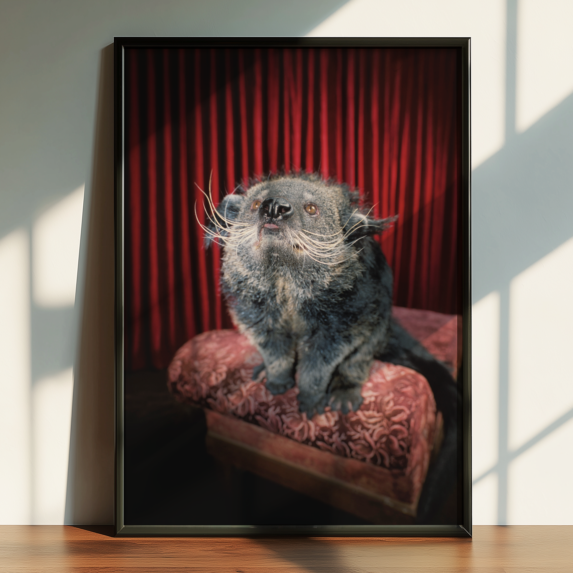 Binturong | Fine Art Animal and Wildlife Photography Prints by Steve Grubman