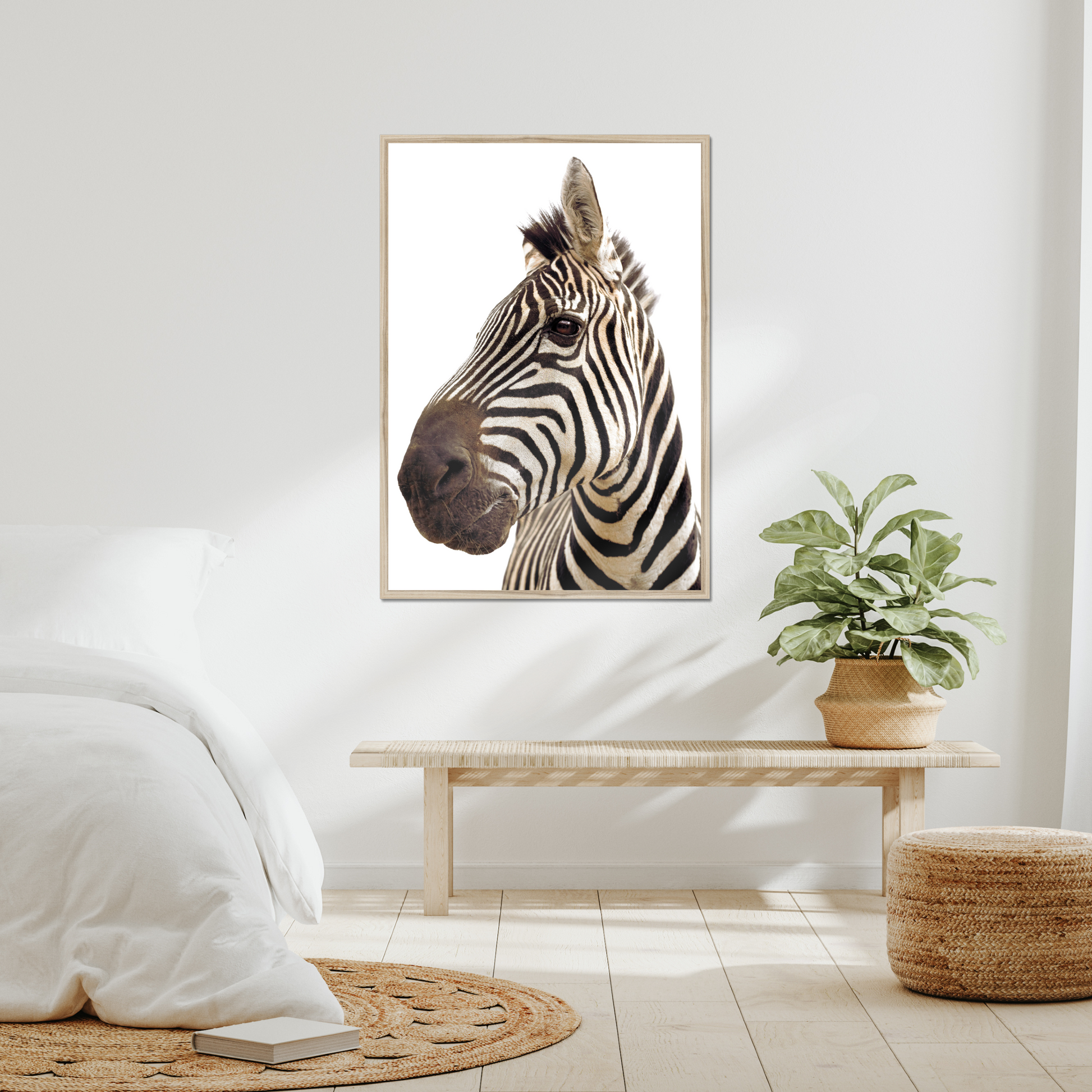 Stunning Zebra Portrait on White | Fine Art Animal and Wildlife Photography Prints by Steve Grubman