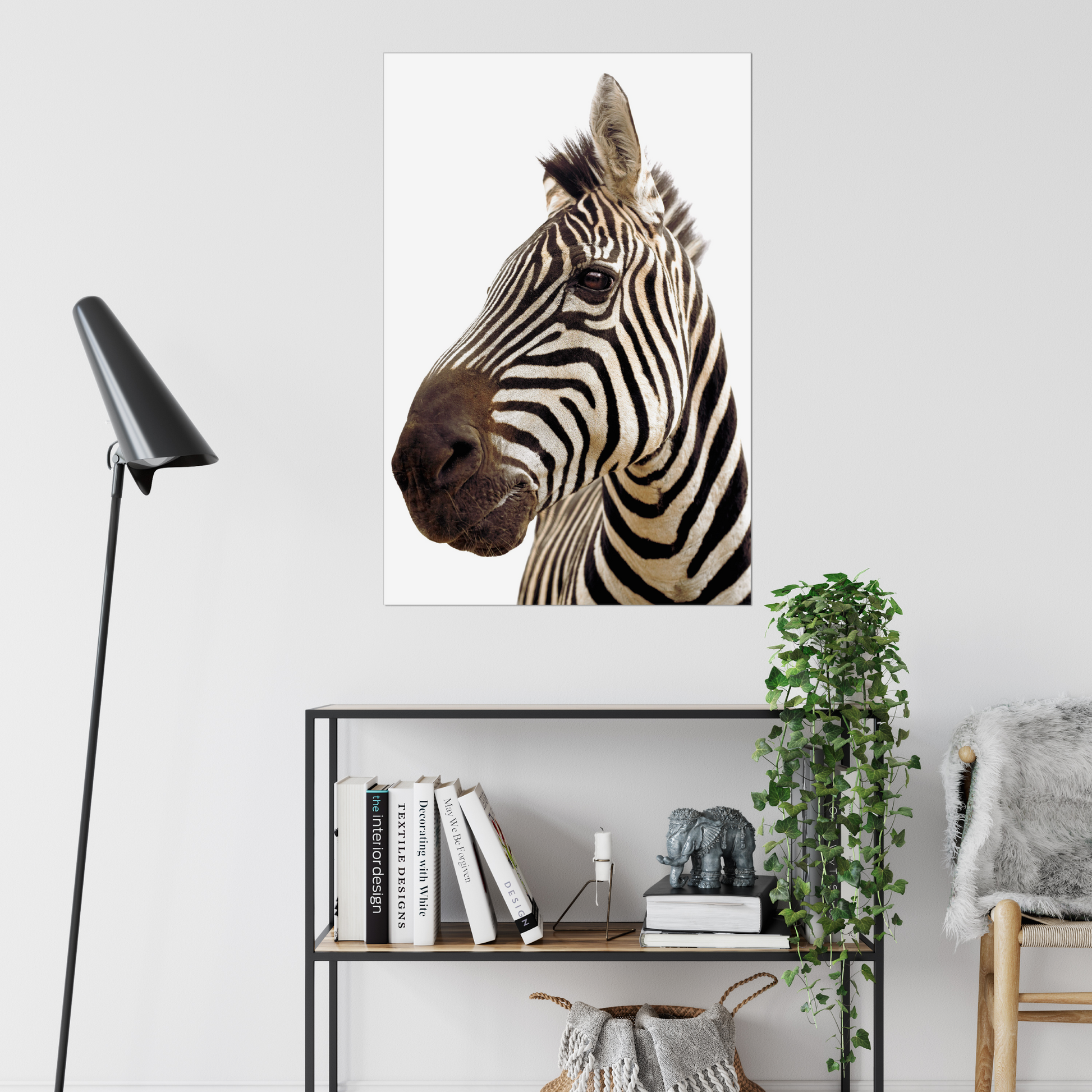 Stunning Zebra Portrait on White | Fine Art Animal and Wildlife Photography Prints by Steve Grubman