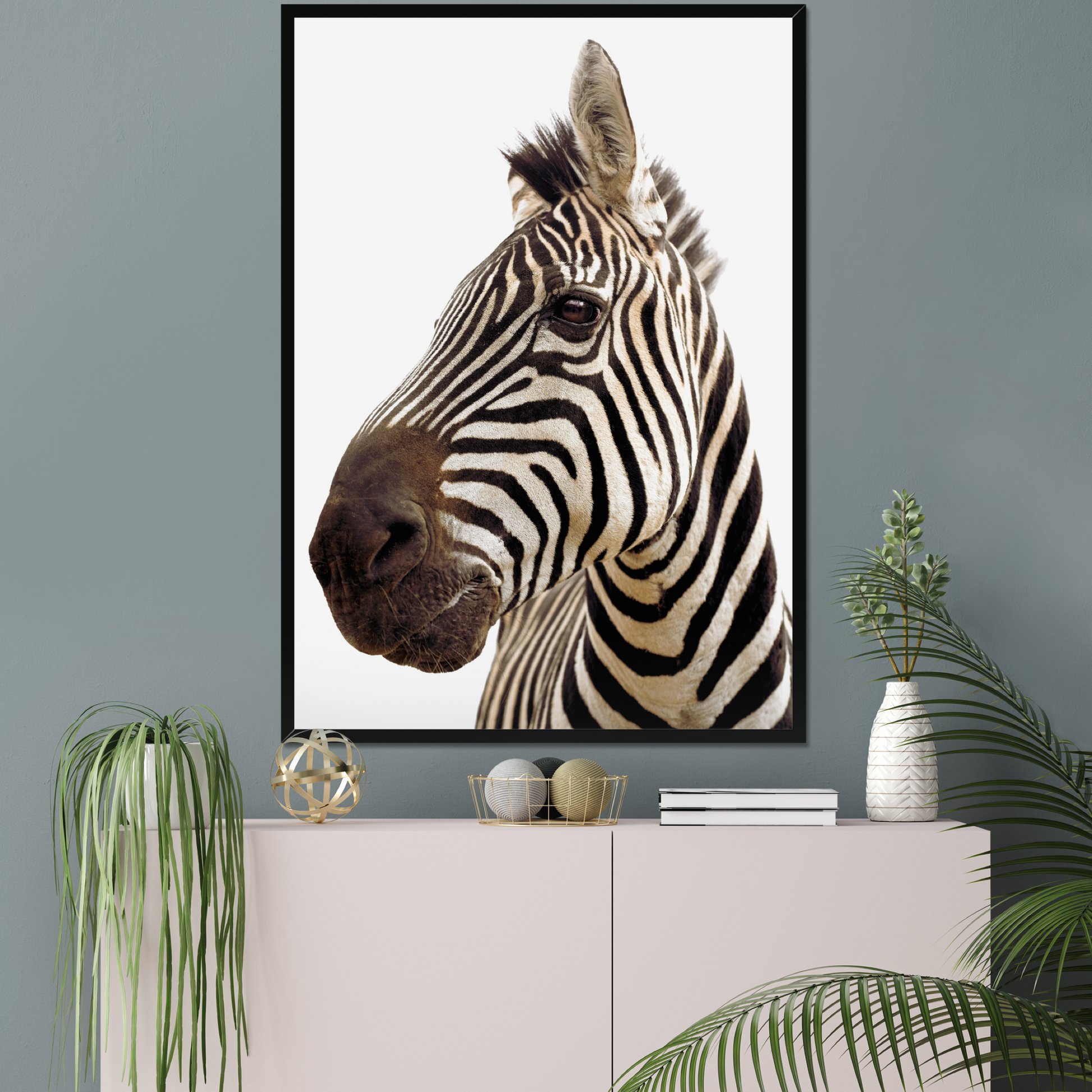 Stunning Zebra Portrait on White | Fine Art Animal and Wildlife Photography Prints by Steve Grubman