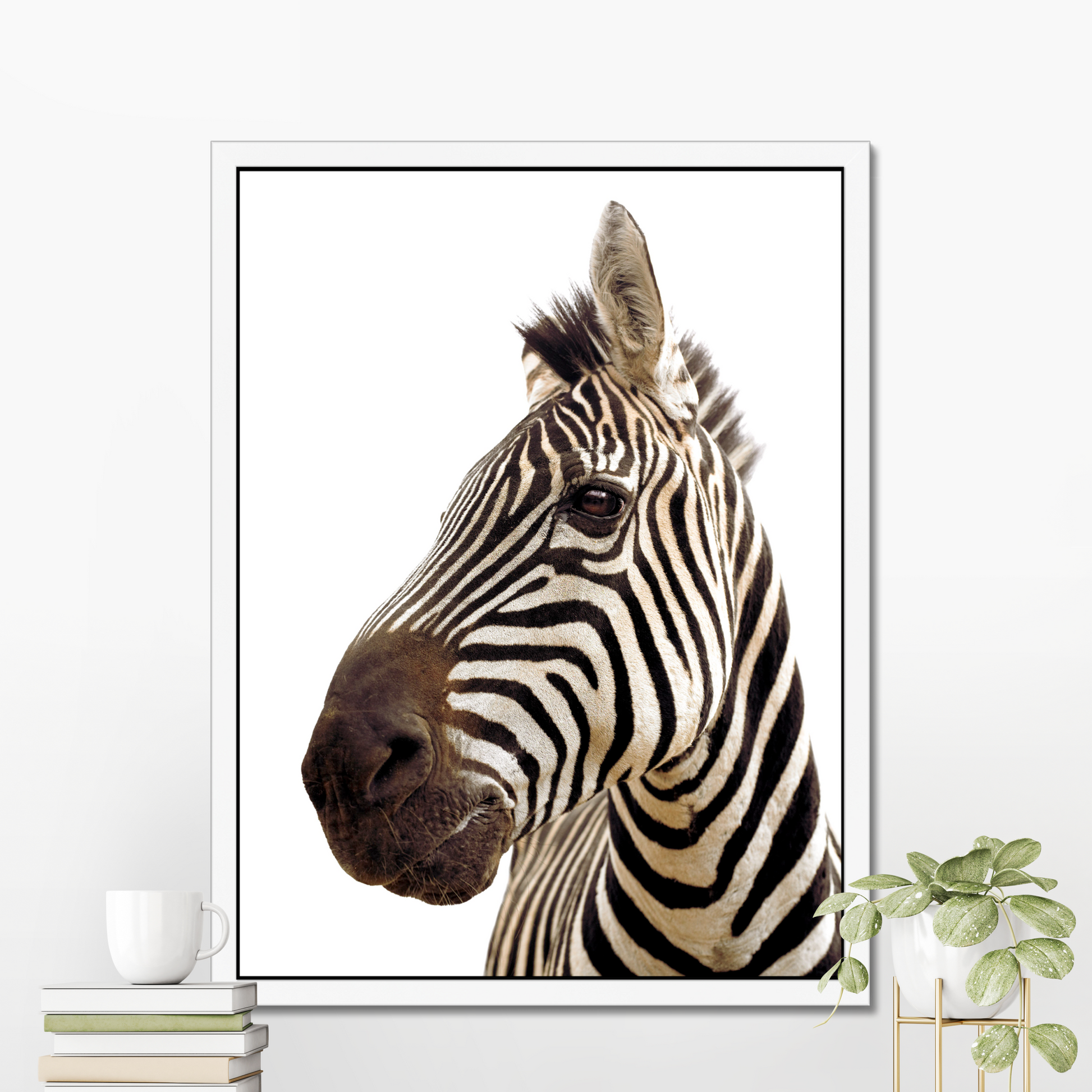 Stunning Zebra Portrait on White | Fine Art Animal and Wildlife Photography Prints by Steve Grubman