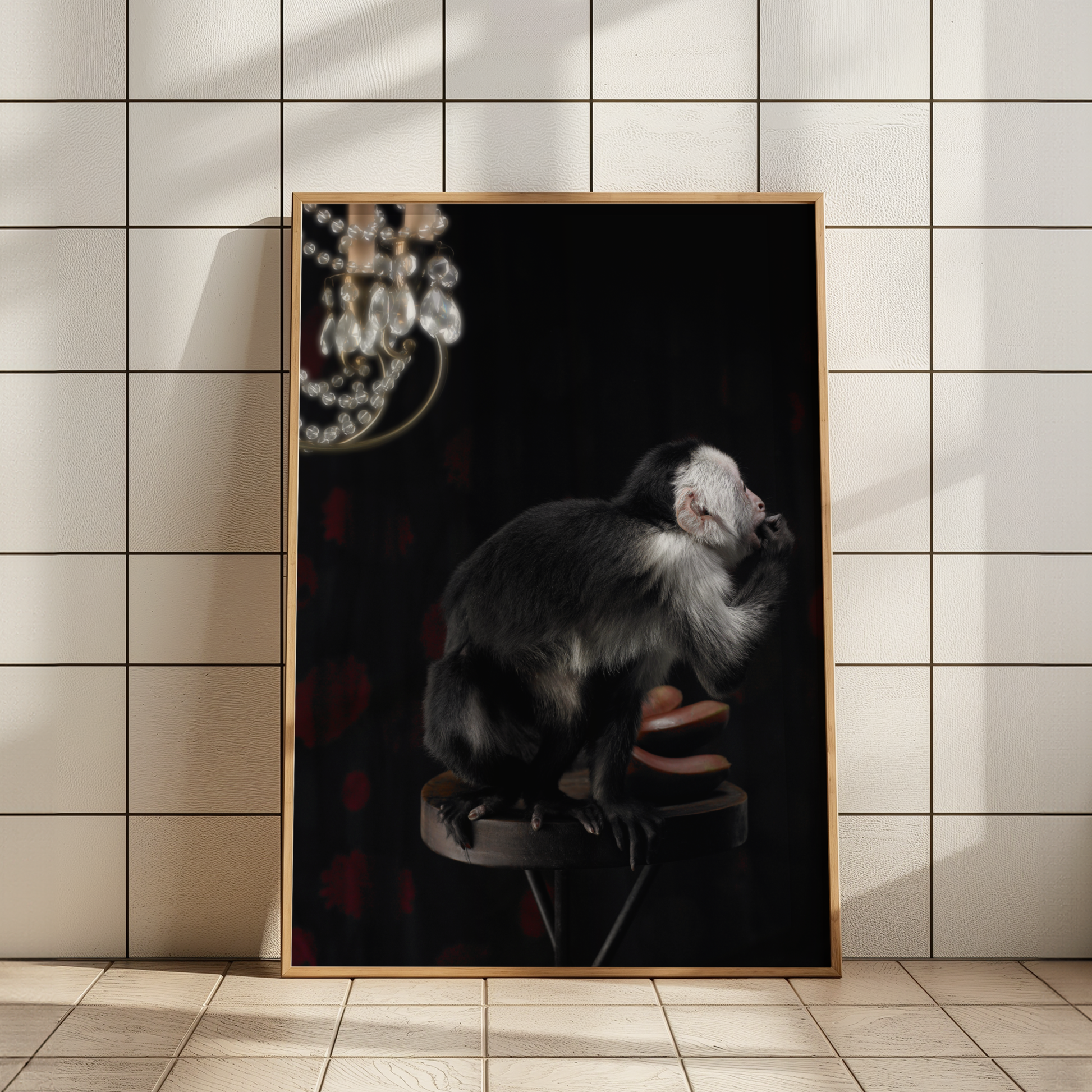 Ringtail Monkey | Fine Art Animal and Wildlife Photography Prints by Steve Grubman